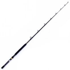 PENN Ally Boat 20/50 LBs Canna Da Big Game 5'6''