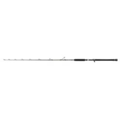 PENN Regiment III Jig 601 20/30 LBs Canna Da Vertical