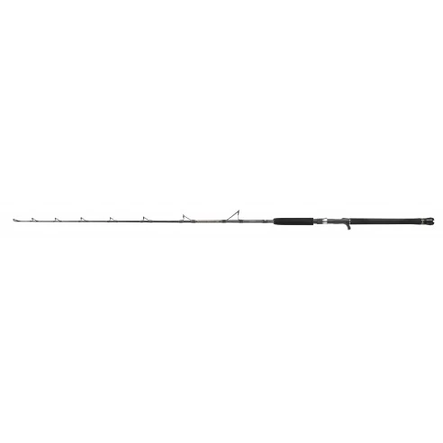 PENN Regiment III Jig 601 20/30 LBs Canna Da Vertical