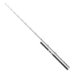 Shimano Technium Boat Slim Braid 7'11" Canna Da Bolentino 20/30 LBs